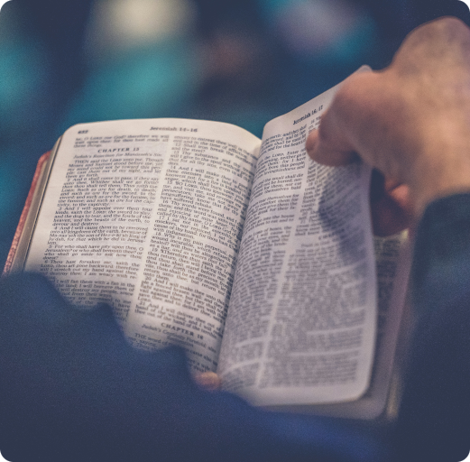 How to Read the Bible