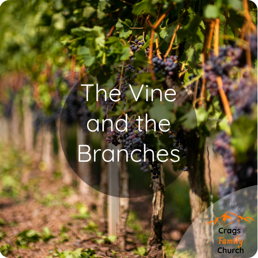 The Vine and the Branches